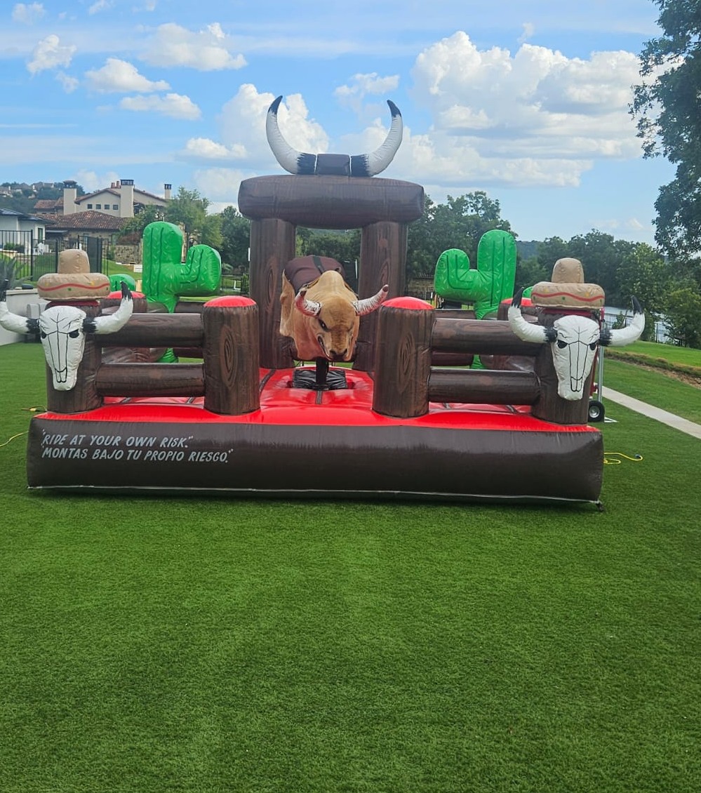 Mechanical Bull Action Shot